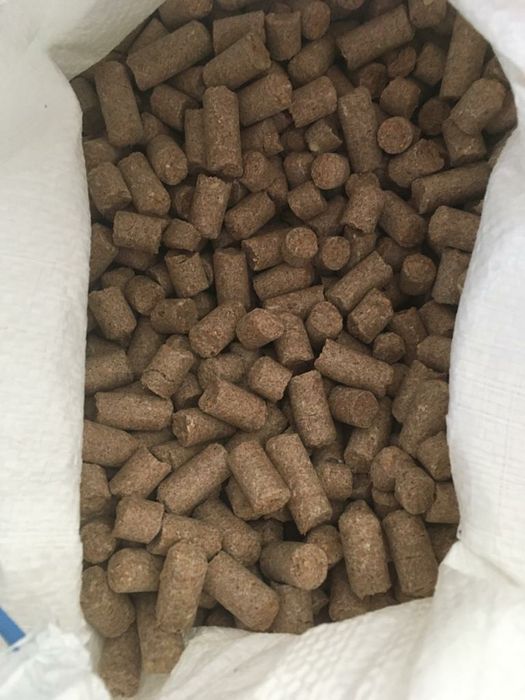 Zanęta wędkarska w postaci peletu z otrębów zbożowych 8 kg