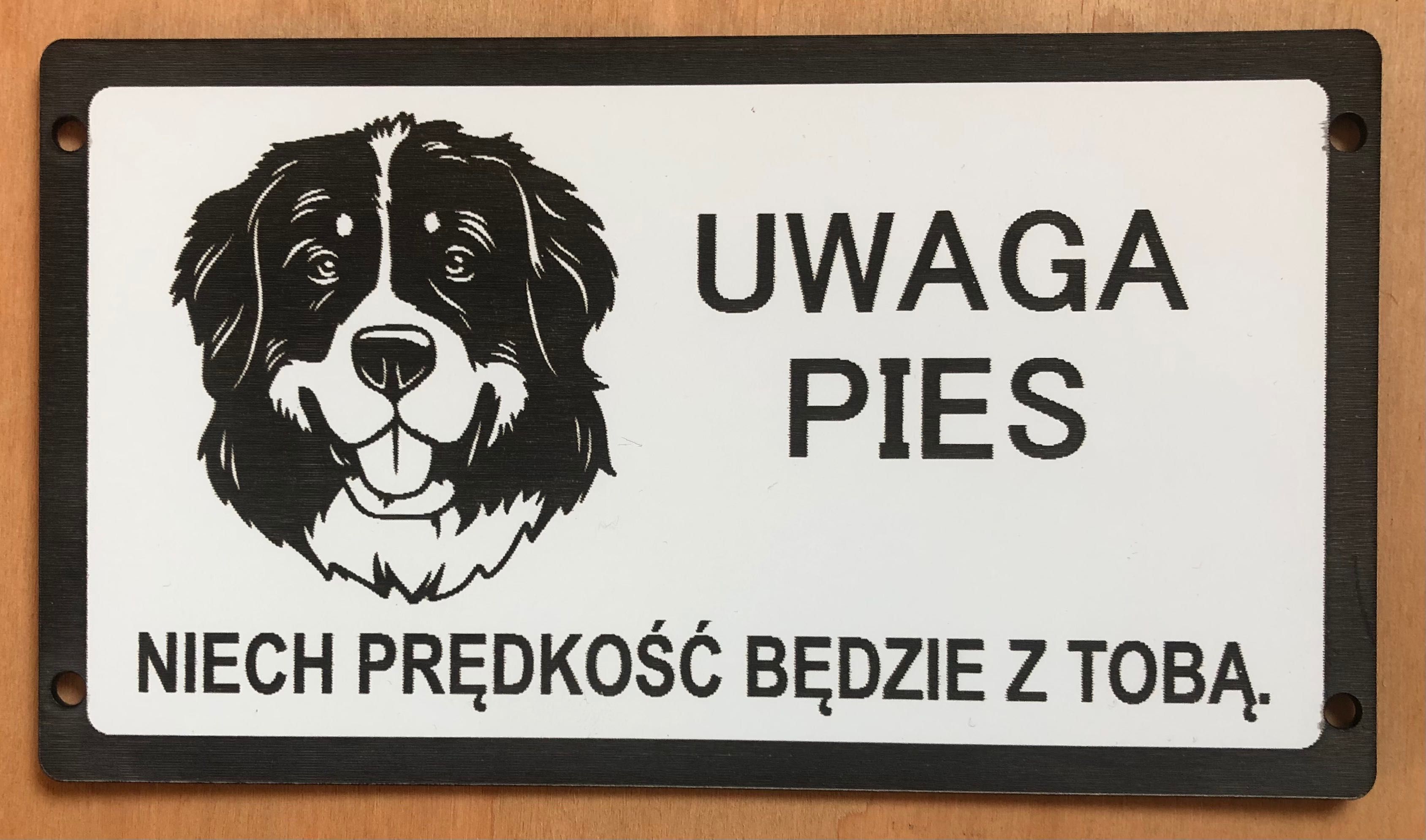 Groźny pies tabliczki