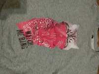 Bluza z kotem S Sinsay