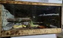 Terrarium terrarium