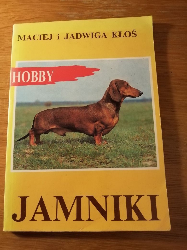 Jamniki poradnik hobby kłoś