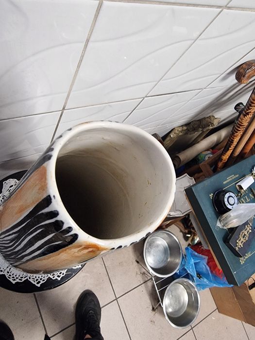 Pikasiak z Włocławka projekt Jana Sowinskiego
