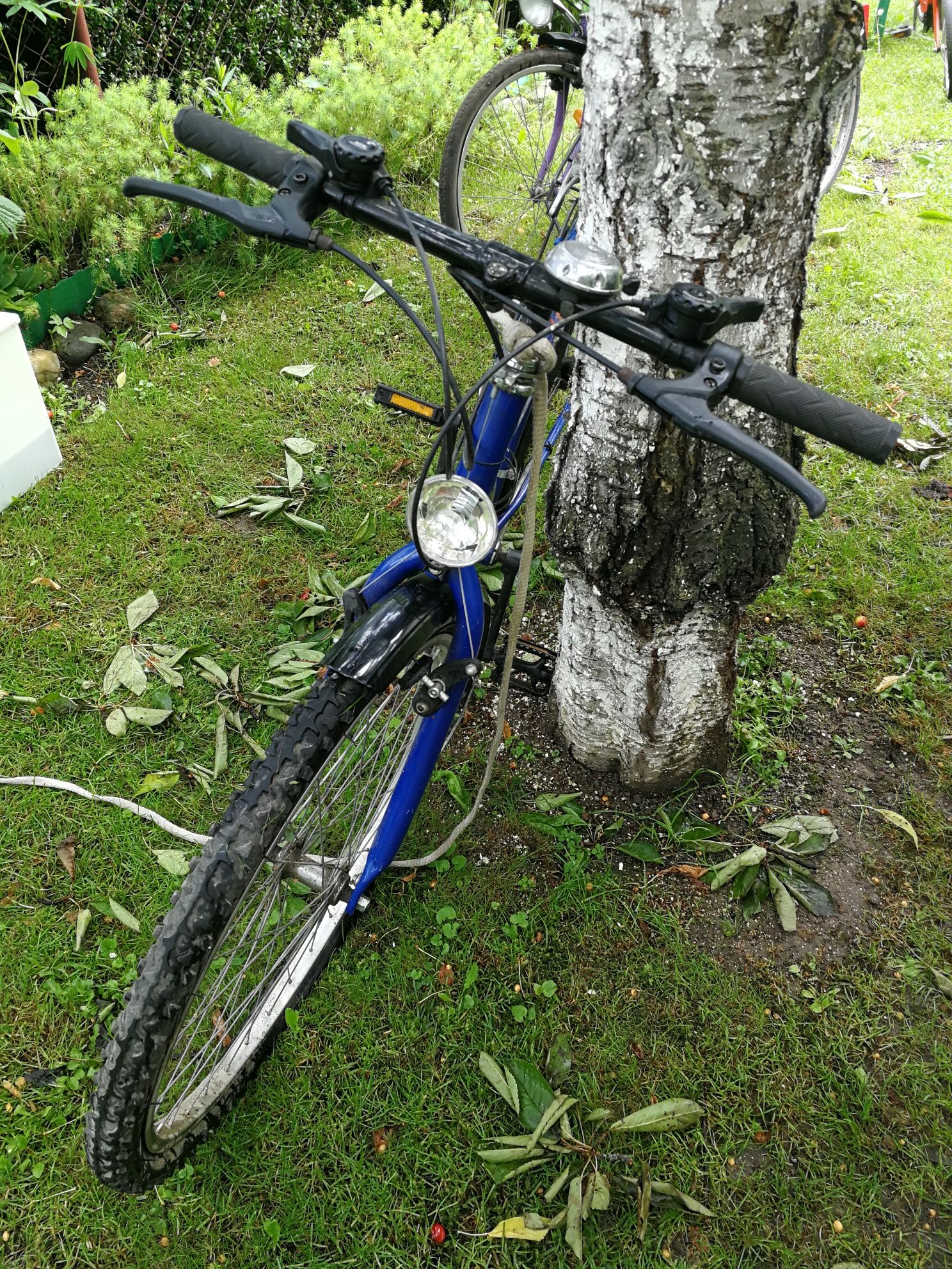 Rower górski męski "Biker"