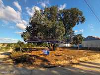Terreno em Marinhais (M598)