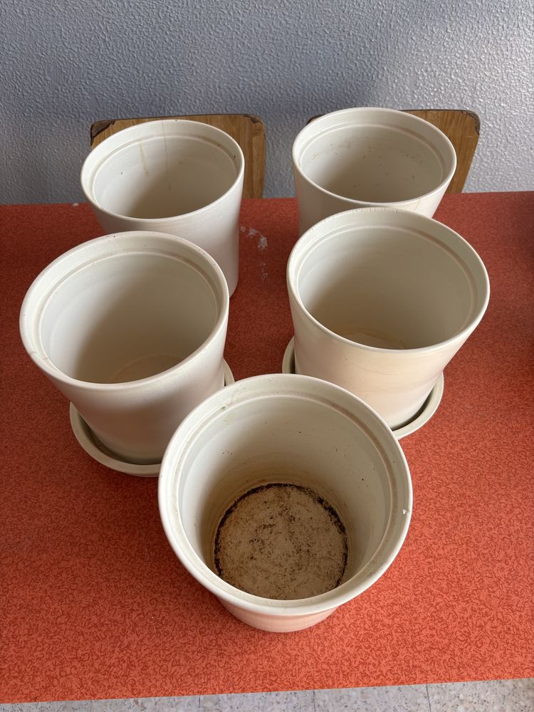 Conjunto de 5 vasos brancos