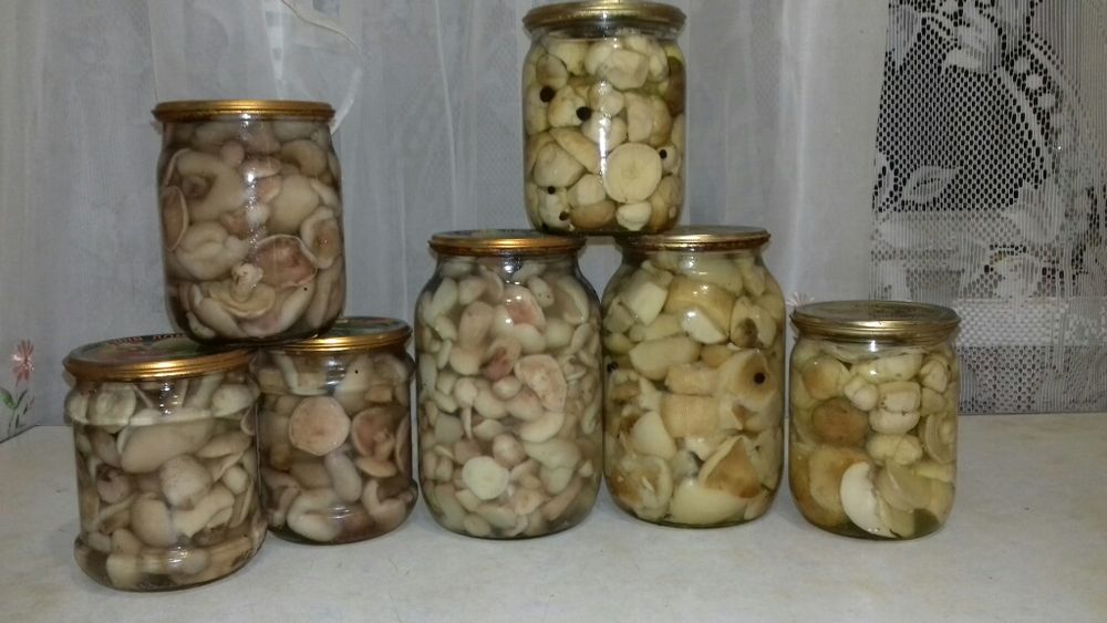 Маринованные грибы