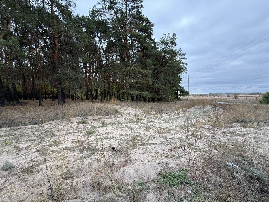 Продам участок с. Орловщина возле соснового леса