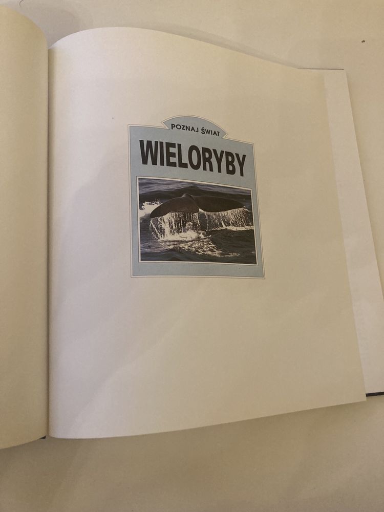 Poznaj świat- Wieloryby