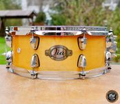Werbel Stagg Jia Maple 14" x 5,5" ‼️