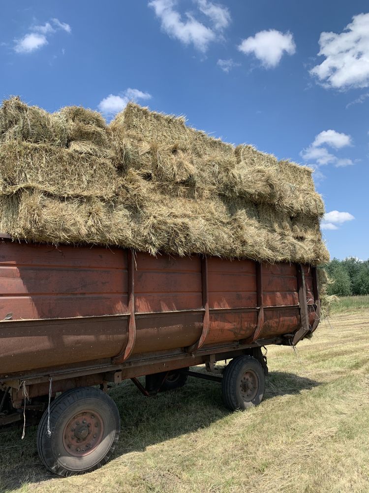 Продам сіно тюковане