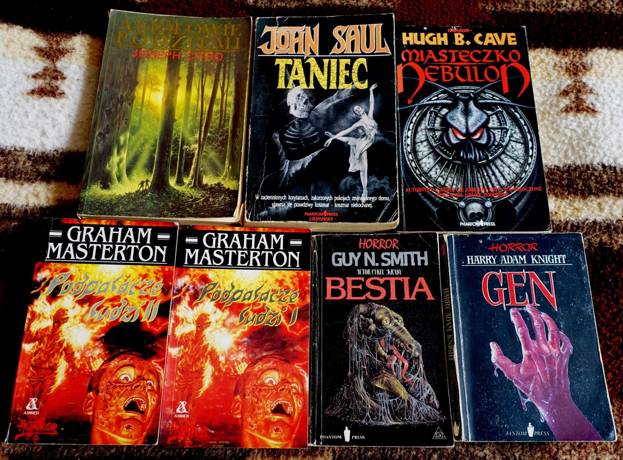 Horror zestaw 7 książek