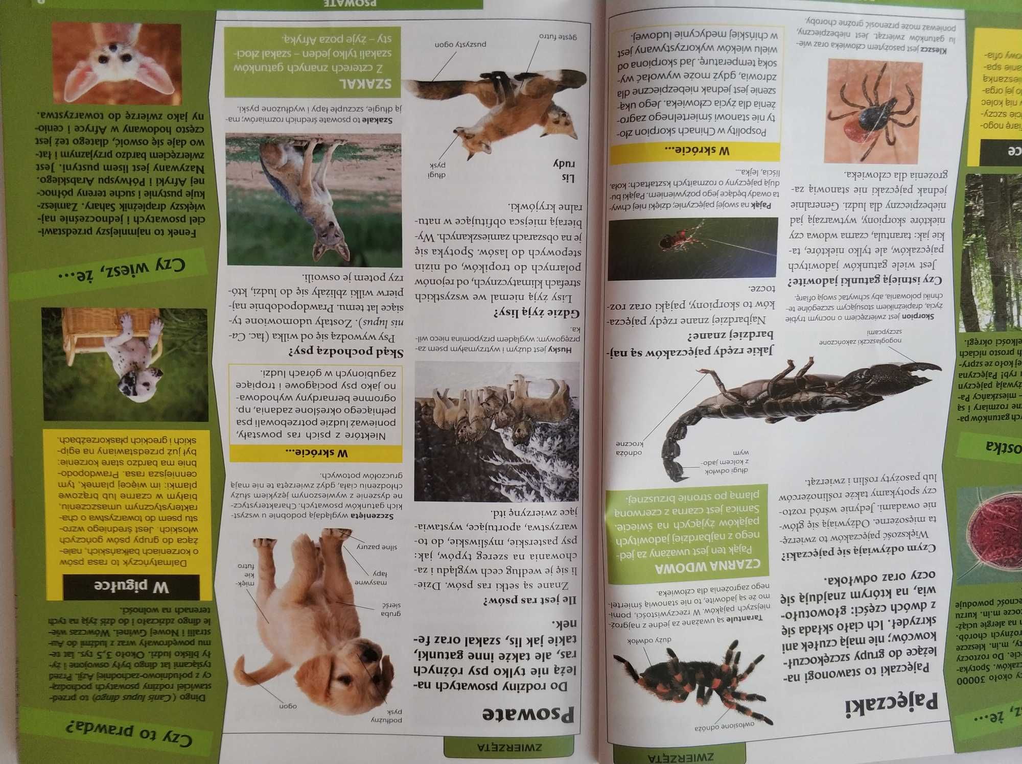 Księga wiedzy w pytaniach i odpowiedziach