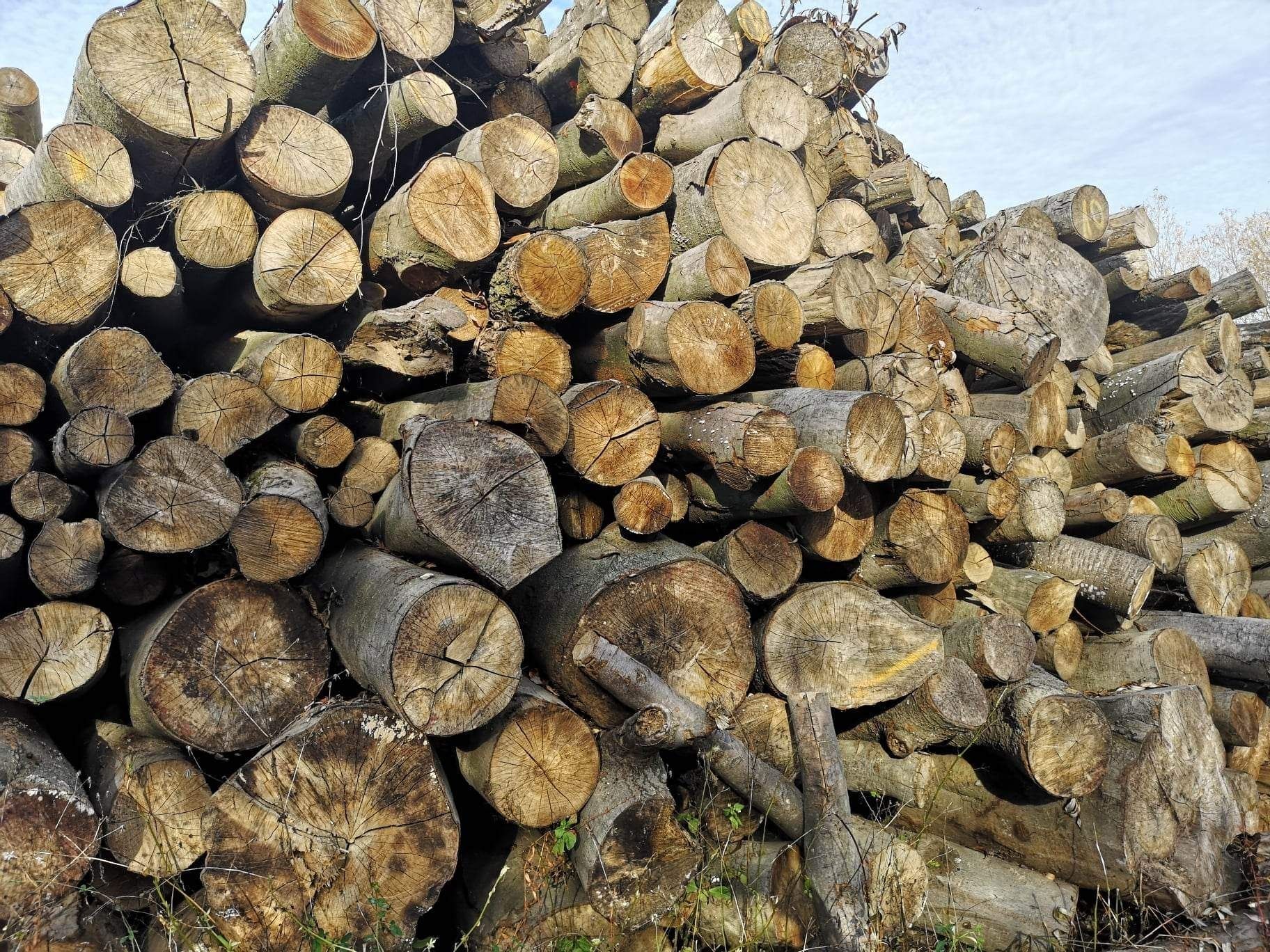 Pellet drzewny,drewno opałowe suche