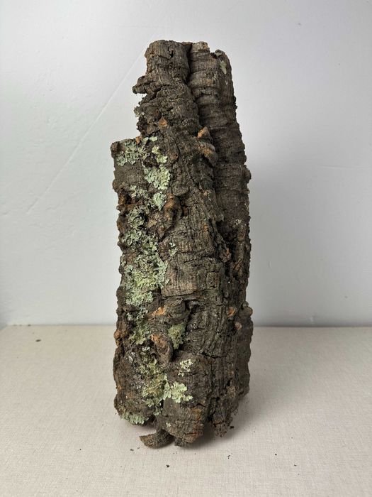 Tuba korkowa do terrarium nr5 ozdoba do terrarium gekon pająk agama