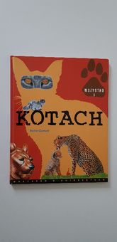 Wszystko o kotach Anita Ganeri