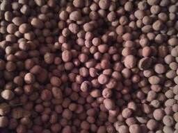 Дрібна картопля  Підійде для годуваня свійських тварин