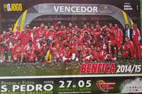 poster Benfica vencedor da taça da liga 2014/15