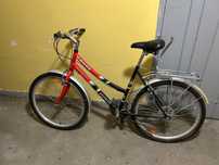 Rower Kross - damka