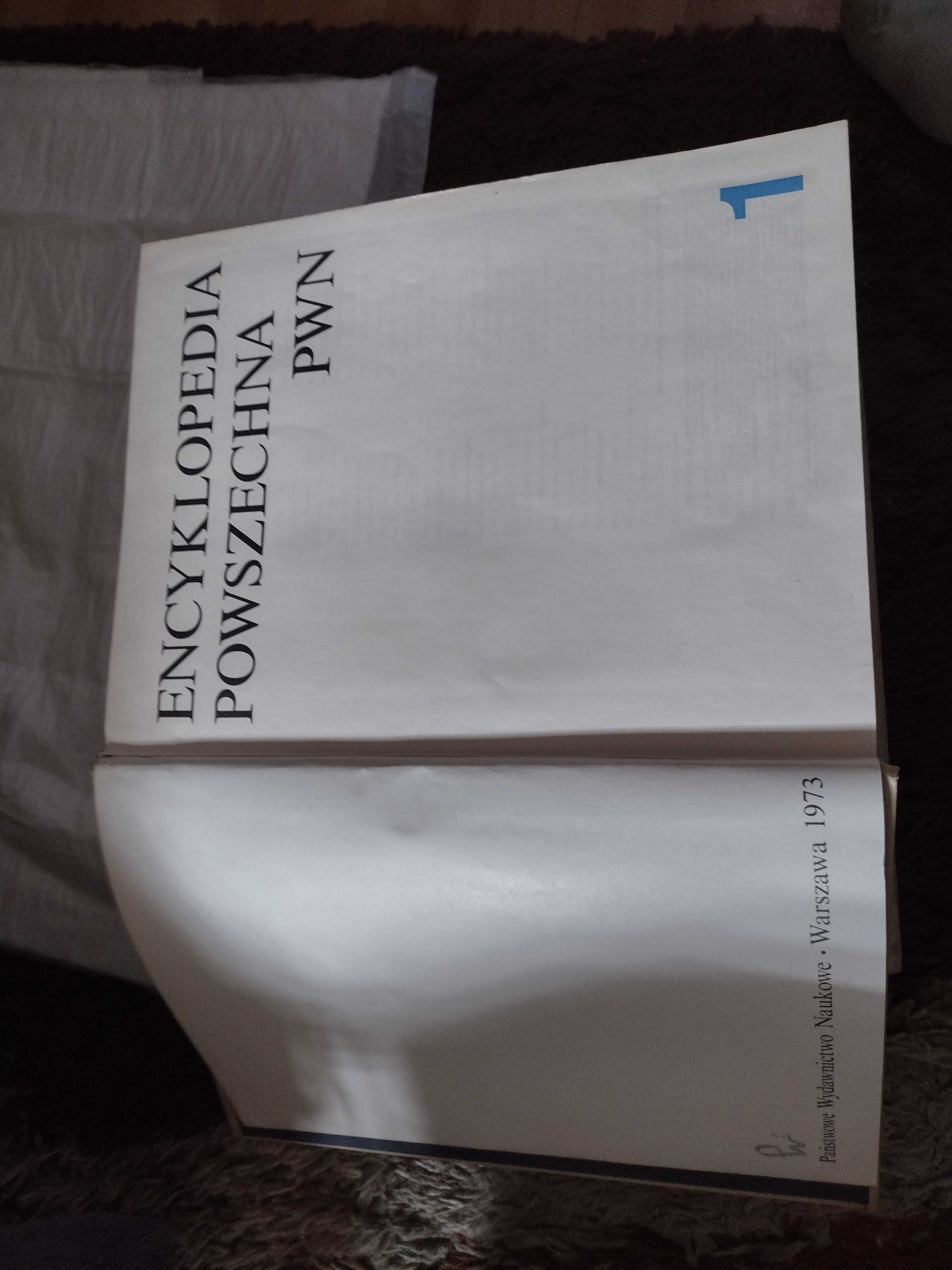 Encyklopedia Pwn 4 tomy gratis Słownik wyrazów obcych