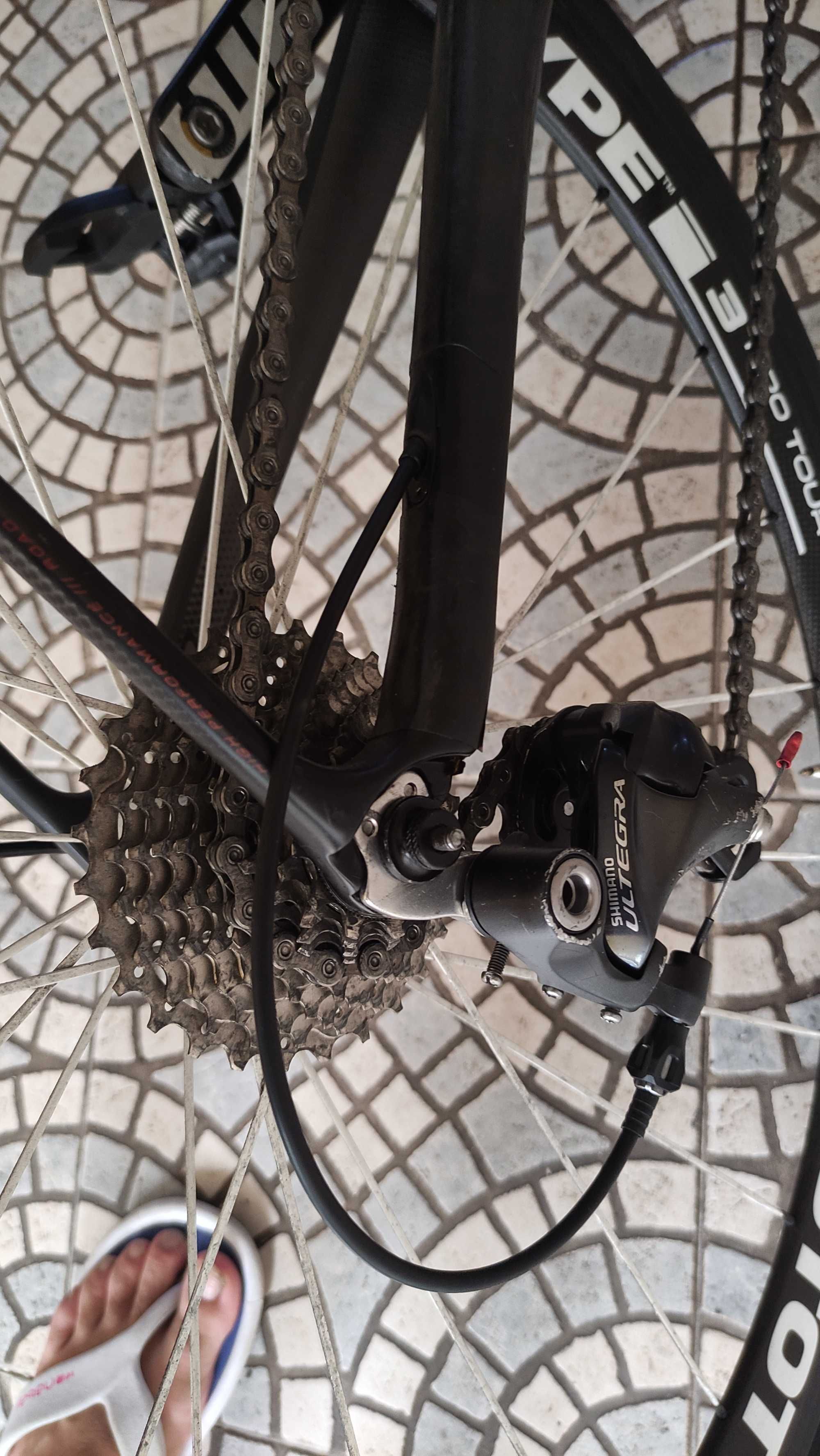 Coluer Chrono carbono