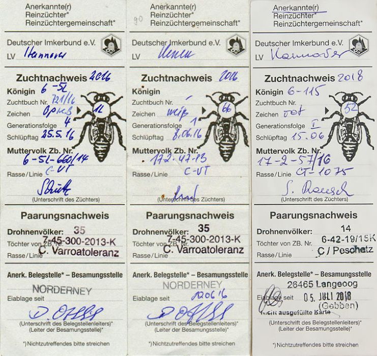 Матки, карники штучного осіменіння F0
