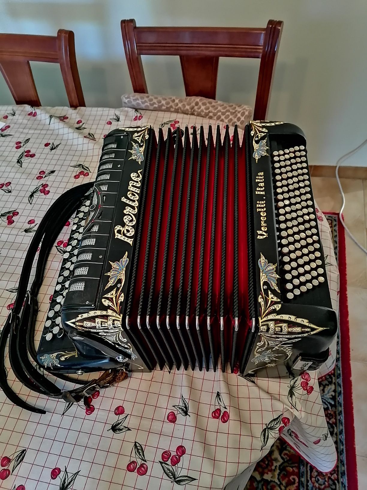 Acordeão bertone