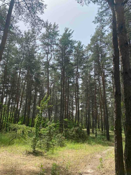 Продам участок в пос.Обуховка