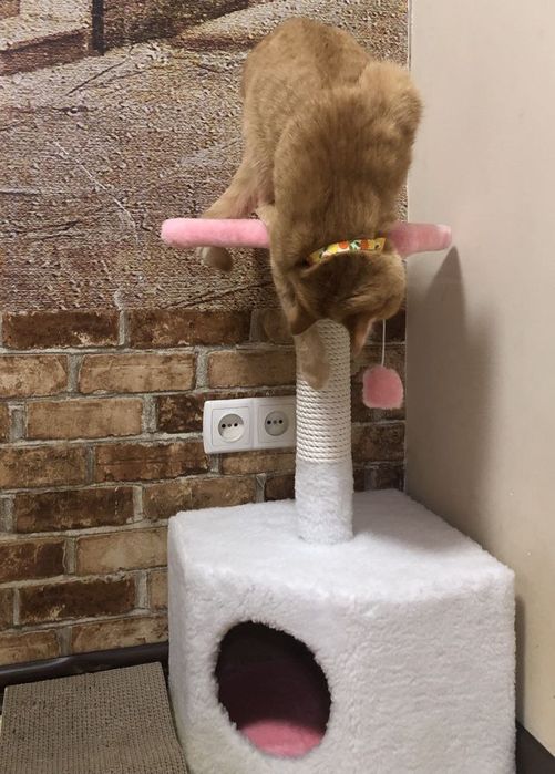 Домик когтеточка дряпка царапка для кот