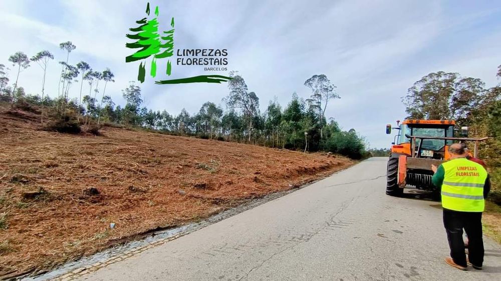 Limpeza terrenos silvicultura limpeza florestal