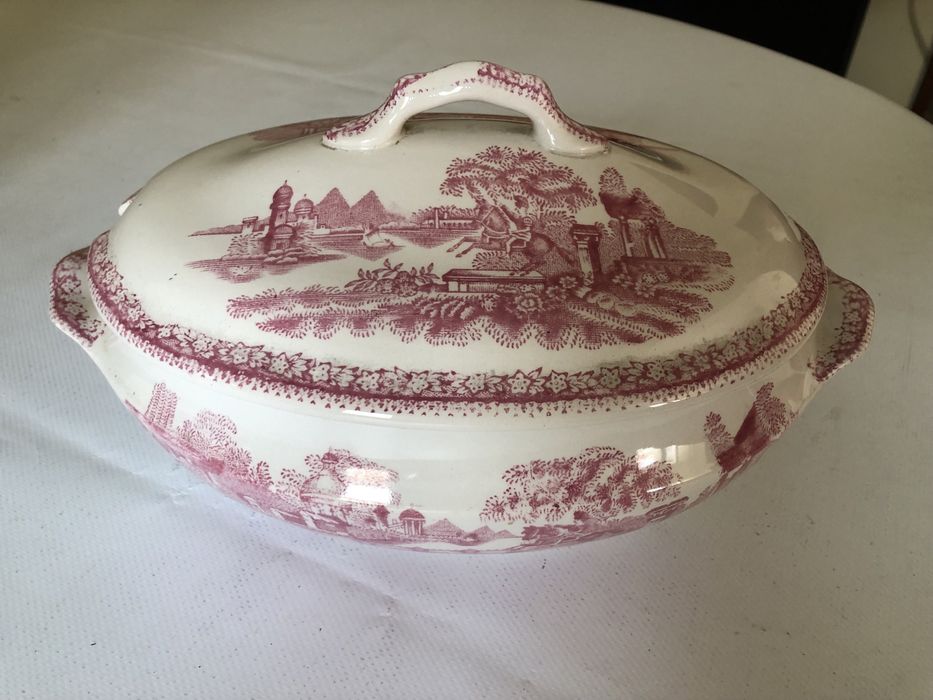 Terrina loica Sacavem