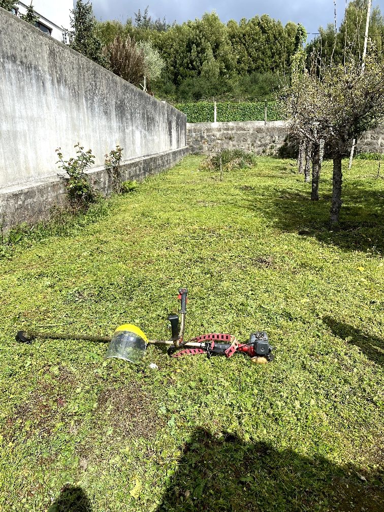 Faço limpezas de jardins