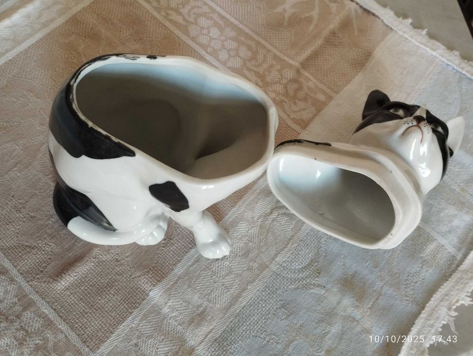 Caixa gato preto e branco