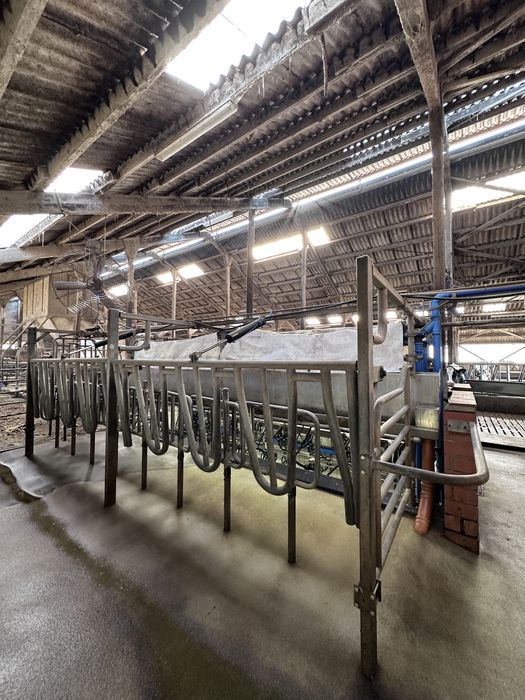 Hala udojowa 2x8 DeLaval / Alfa Laval Bogato wyposażona MP400 x MM25