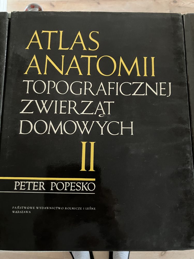 Atlas Anatomii Topograficznej Zwierząt Domowych t 1-3 kpl P Popesko