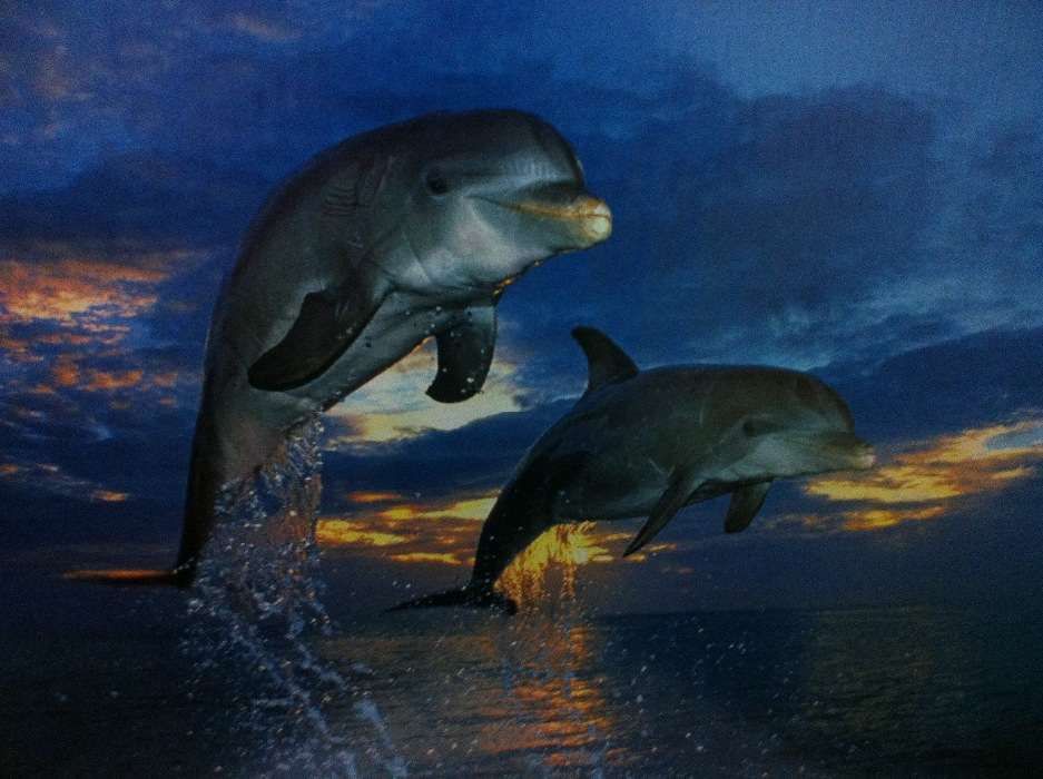 Vendo quadros de sala