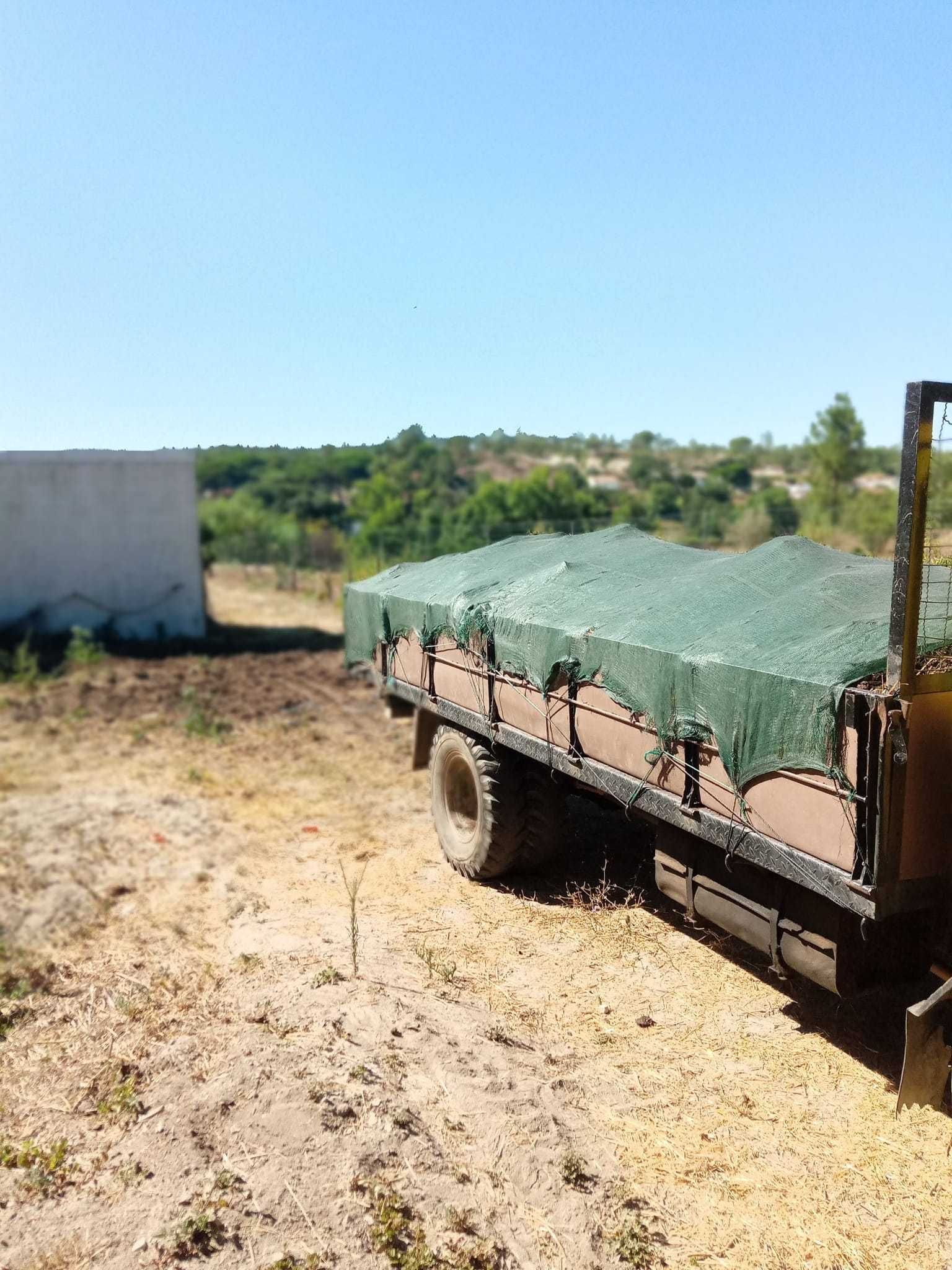 Mudanças/Transportador