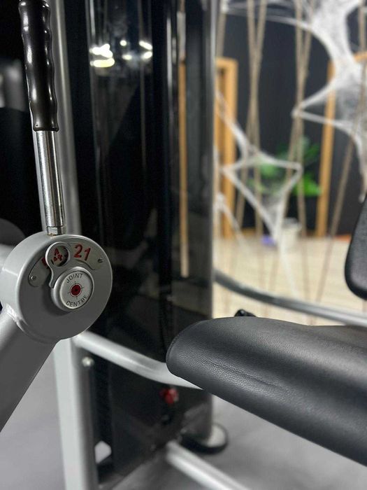 Leg Extension Pannata EVO