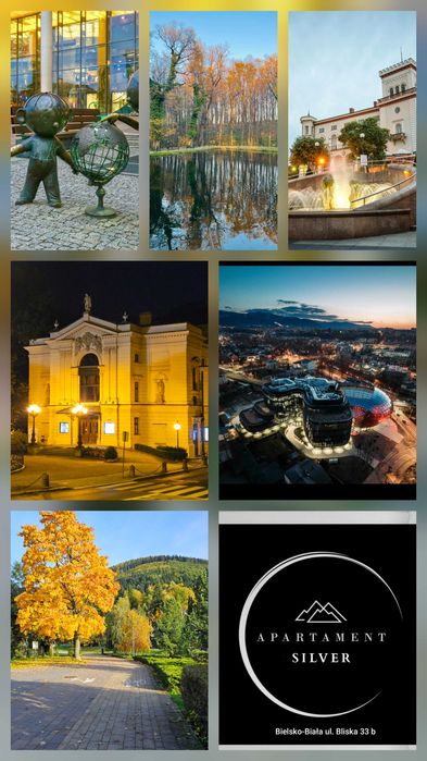 Apartament Silver - Bielsko-Biała pod Szyndzielnią z widokiem na góry