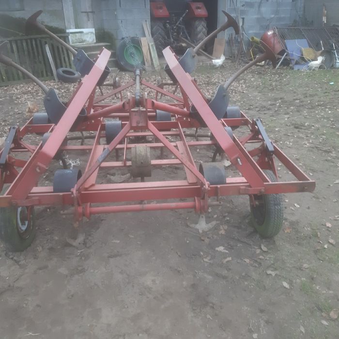 wyka jara facelia mieszanka gorzowska