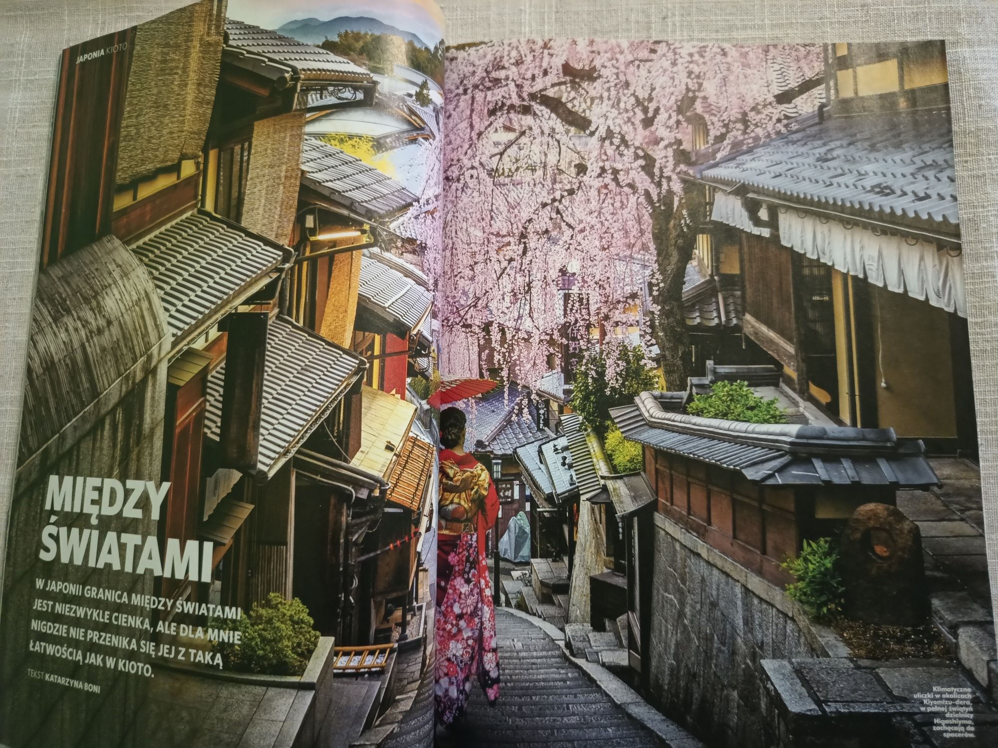 National Geographic Japonia