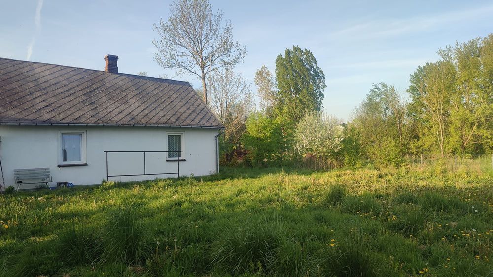 Dom i działka Osiny