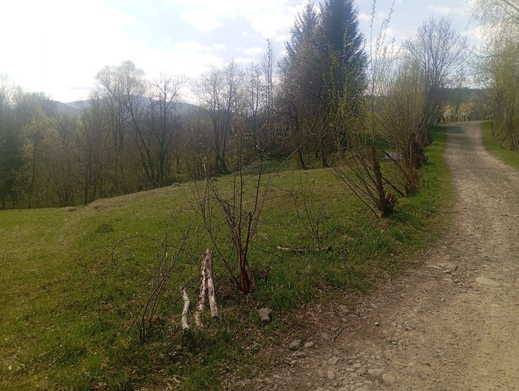 Продам земельну ділянку для будь яких цілей