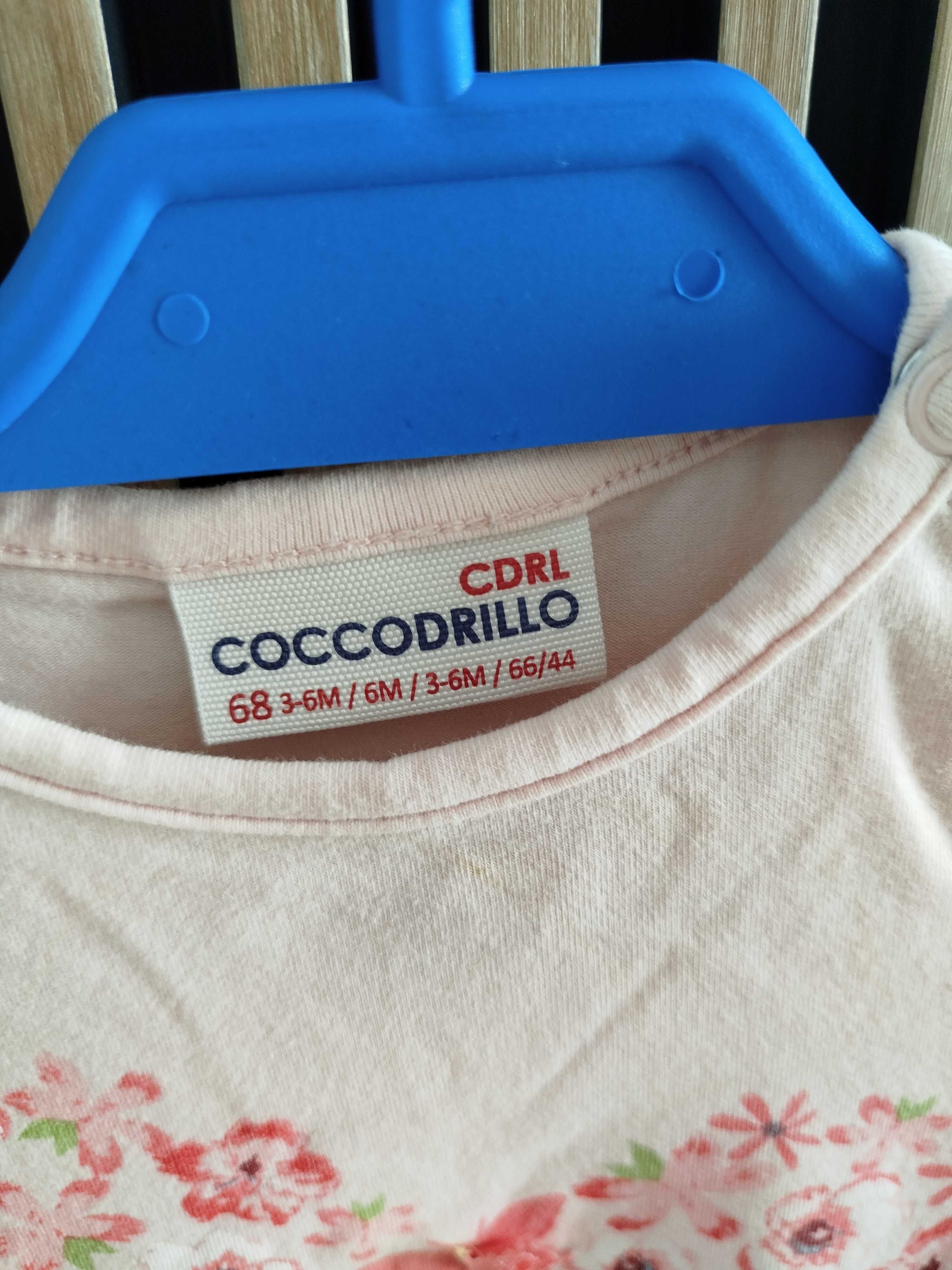 Bluzka dziewczęca z falbankami na dole długi rękaw Coccodrillo 68 24h