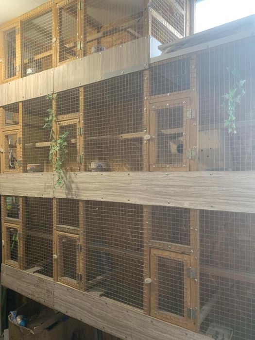 Вальер для птахів!