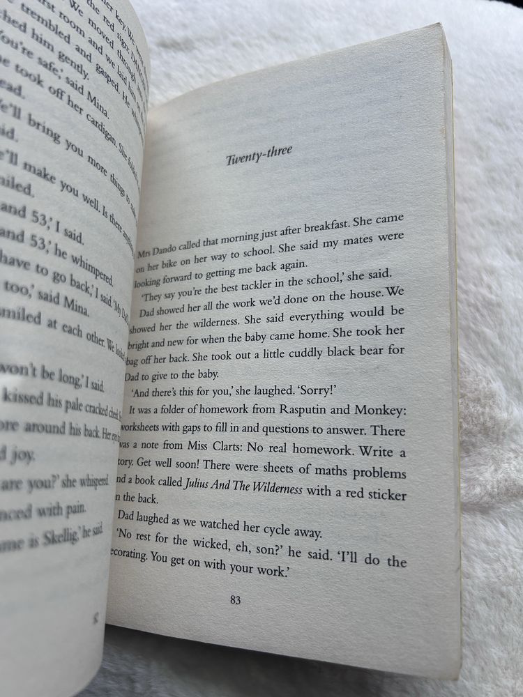 Skellig - David Almond