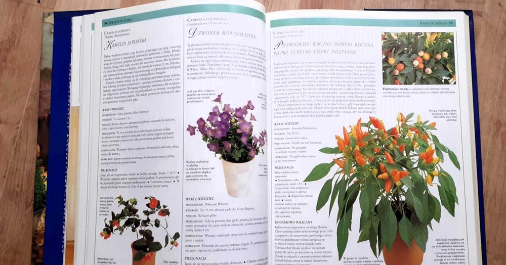 Kwiaty w domu - J. Courtier i G. Clarke