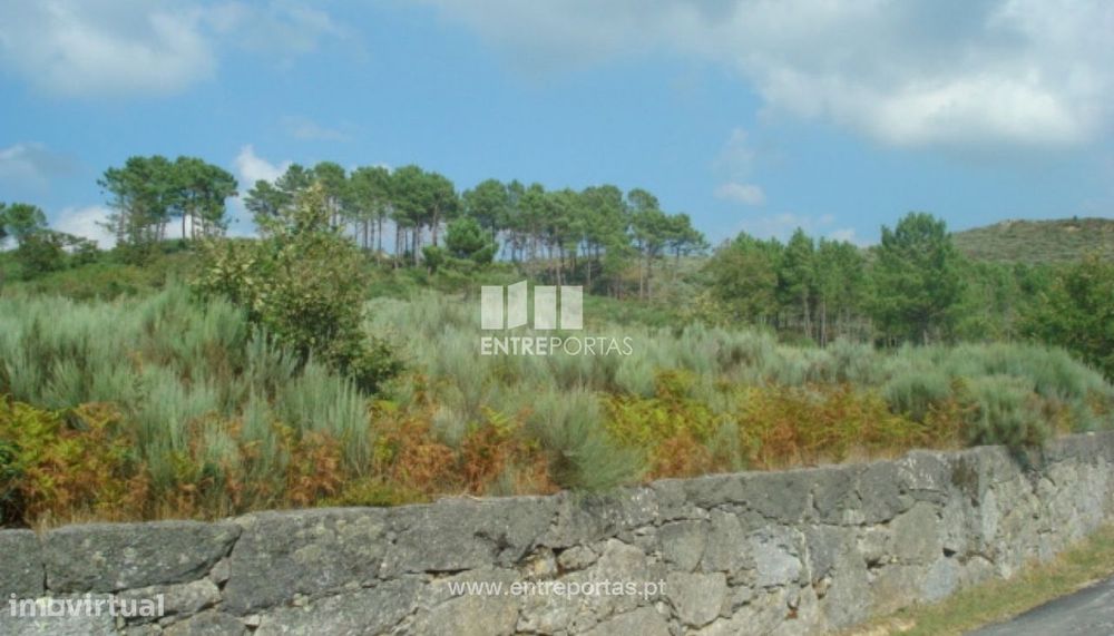 Venda Terreno, Gestaçô, Baião