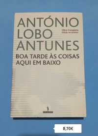 Boa tarde às coisas aqui em Baixo /António Lobo Antunes