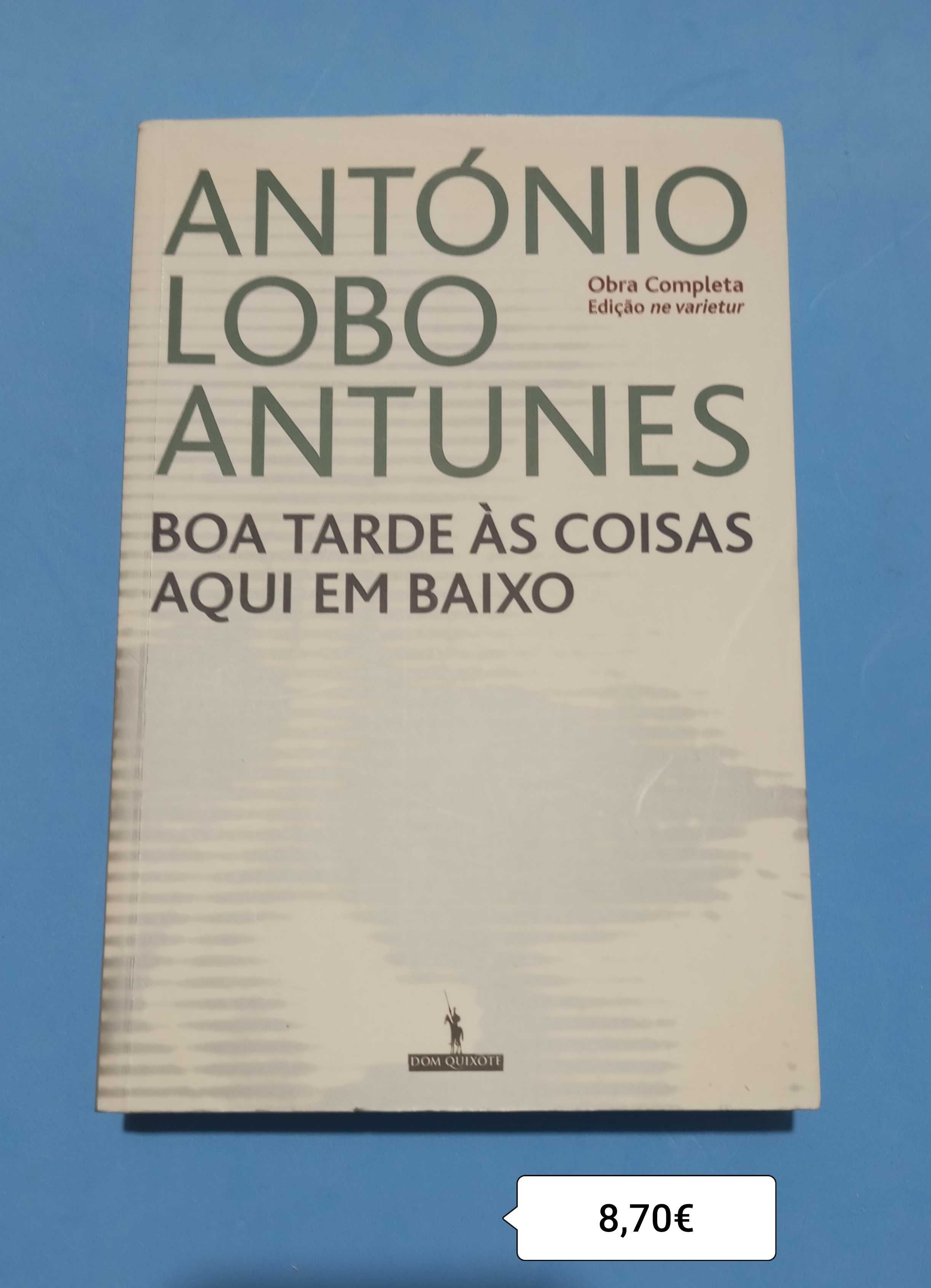 Boa tarde às coisas aqui em Baixo /António Lobo Antunes