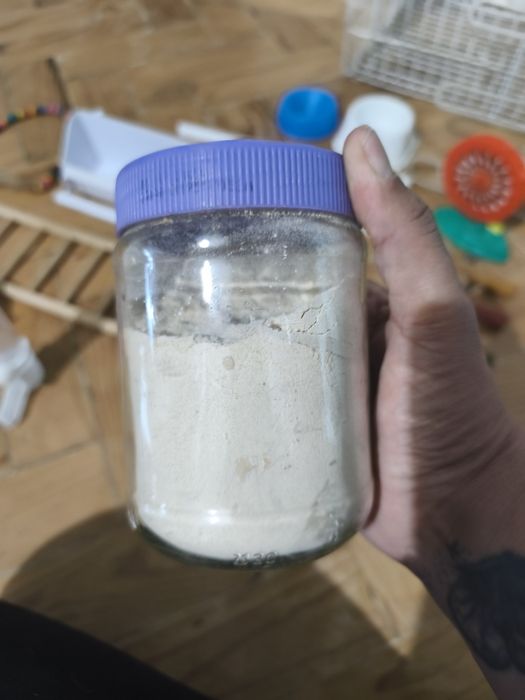 Vendo gaiola para pássaro doméstico + acessórios + papa para filhotes